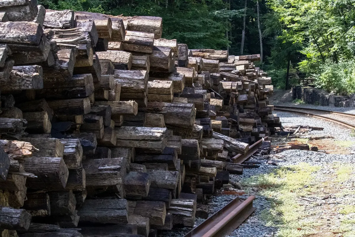 The UK Timber Supply Chain: From Standing Tree to Sawmill